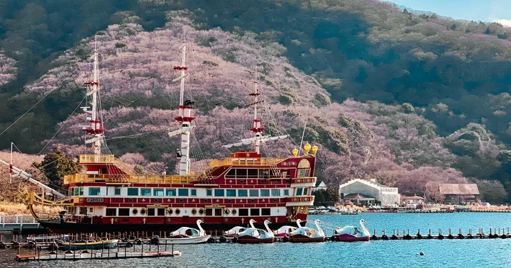 箱根プライベートツアー：ホテルからのオーダーメイド日帰り旅行