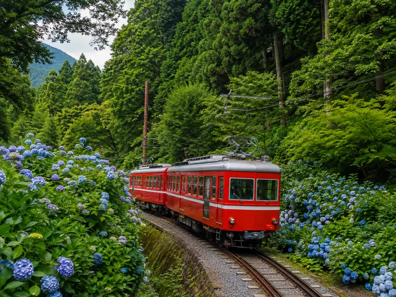 強羅（Gora）に向かって登る箱根登山鉄道のスイッチバック列車